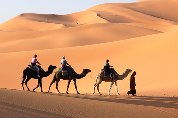 Camel-Riding-Safari-Img