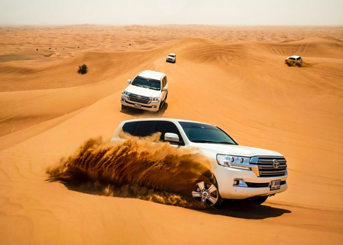 Executive Desert DUNE BASHING